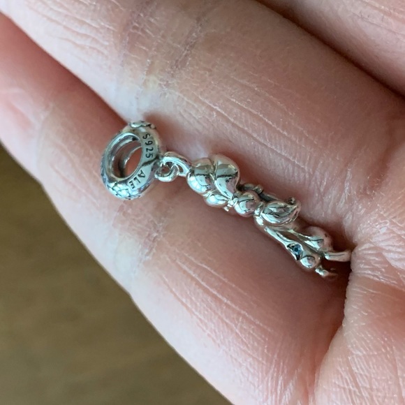 NEW Pandora x Disney Aladdin Princess Jasmine Dangle Charm - Picture 15 of 16